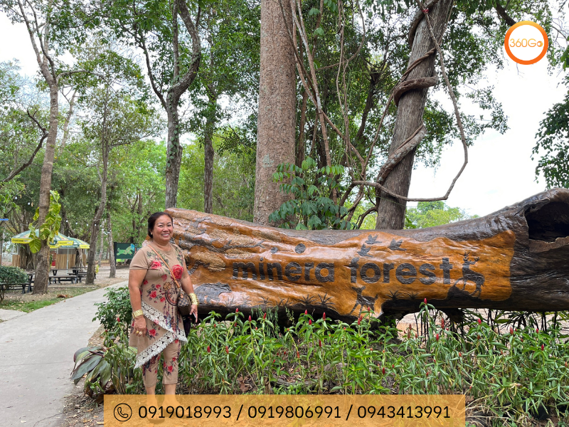 Công viên rừng Minera Forest - Du lịch 360Go 